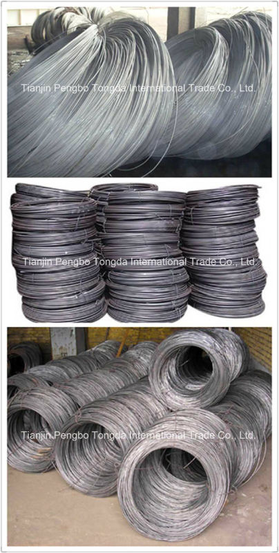 5.5mm SAE1008 Steel Wire Rod in Coil Low Carbon Steel
