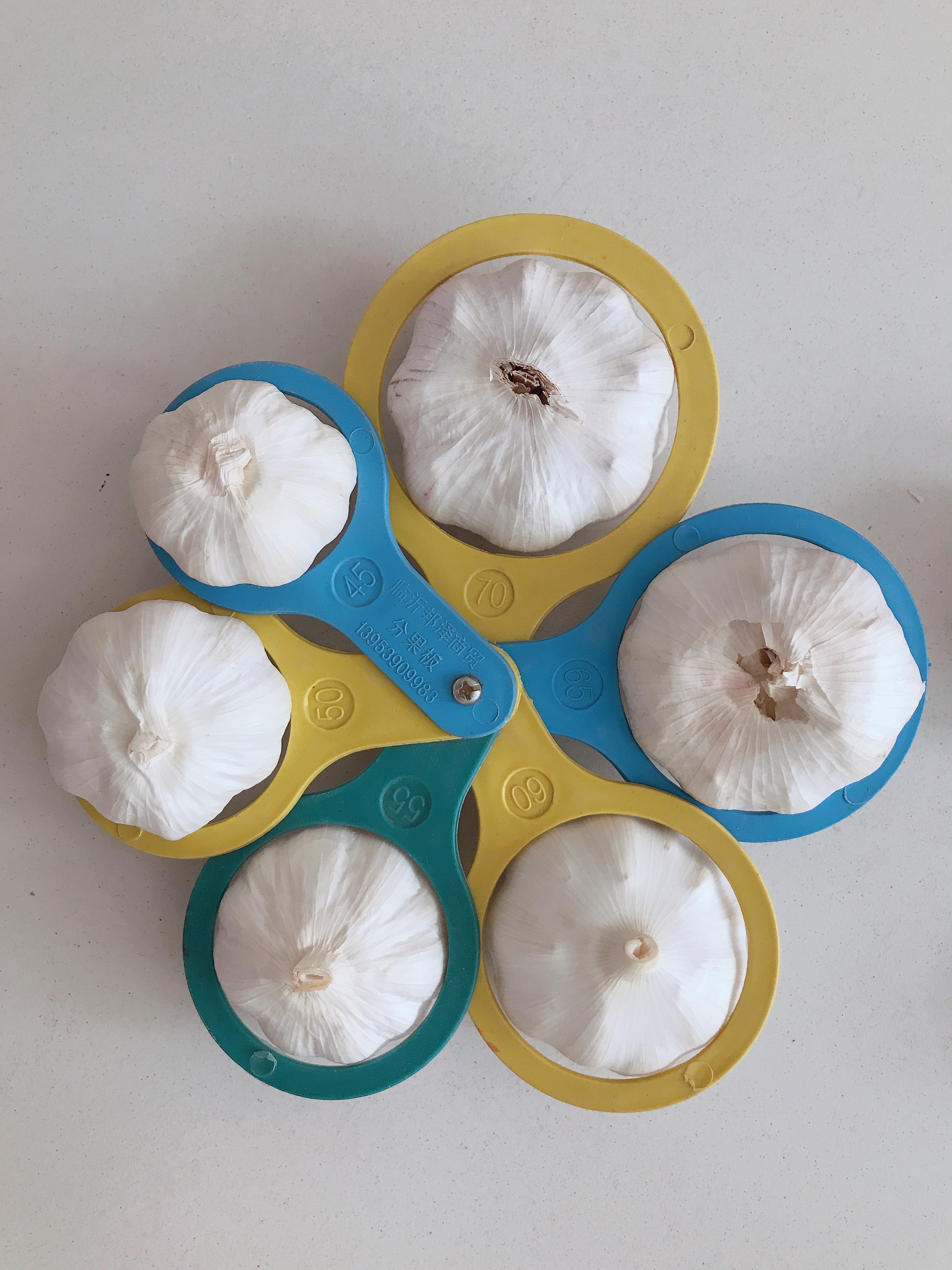Fresh Garlic Quotation from jin xiang factory Fresh Garlic Quotation from jin xiang factory