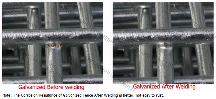 Welded Wire Mesh