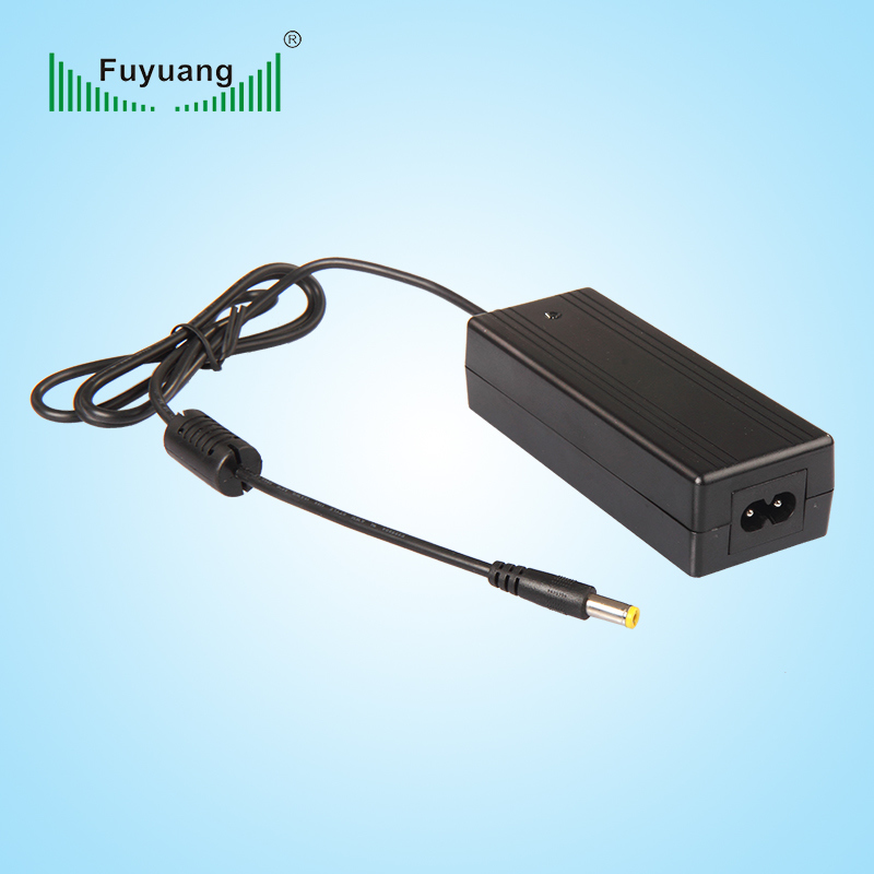 Fuyang DC Jack Connector 48V Lead Acid Battery Charger