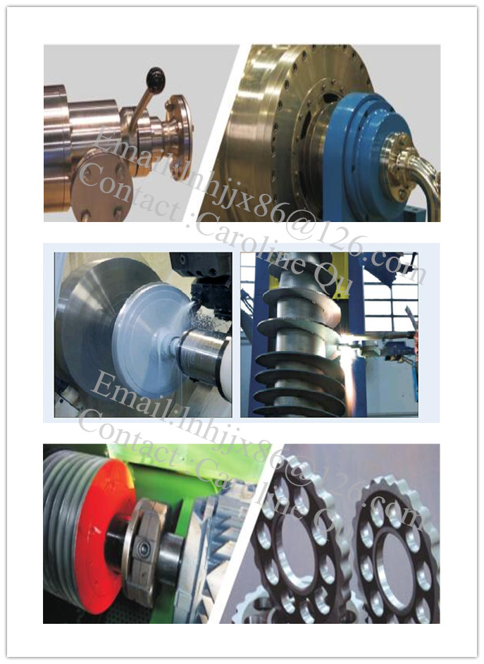 Horizontal Decanter Centrifuge with Solids Bowl for Dewatering Requirements