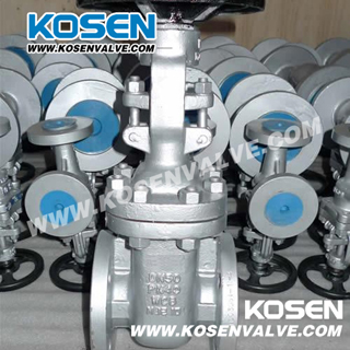 DIN F4 Rising Stem Gate Valve (Z41H)