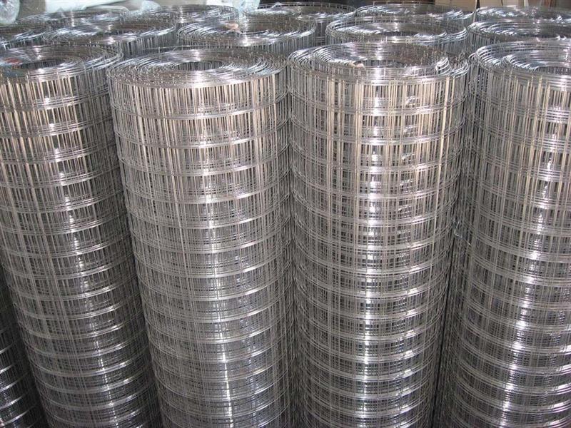 Stainless Steel Wire Mesh (CTM-4)