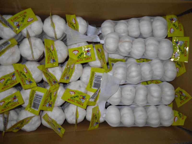 New Small Mesh Bag Packing Pure White Garlic