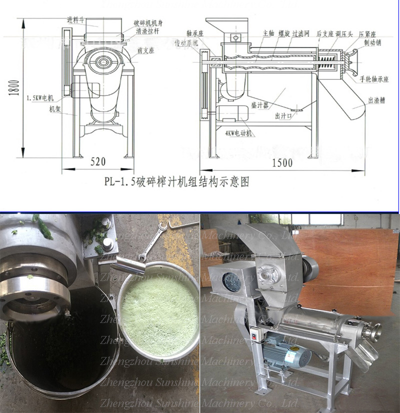 Stainless Steel Pineapple Lemon Carrot Ginger Orange Extractor Juice Machine