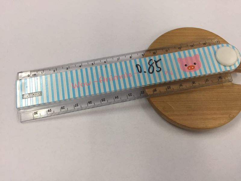 Cute Animal Folding Plastic Ruler for School and Office Stationery