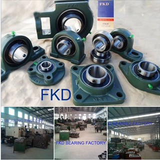 Pillow Block Bearings