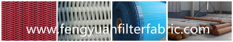 Polyester Spiral Filter Cloth Made in China