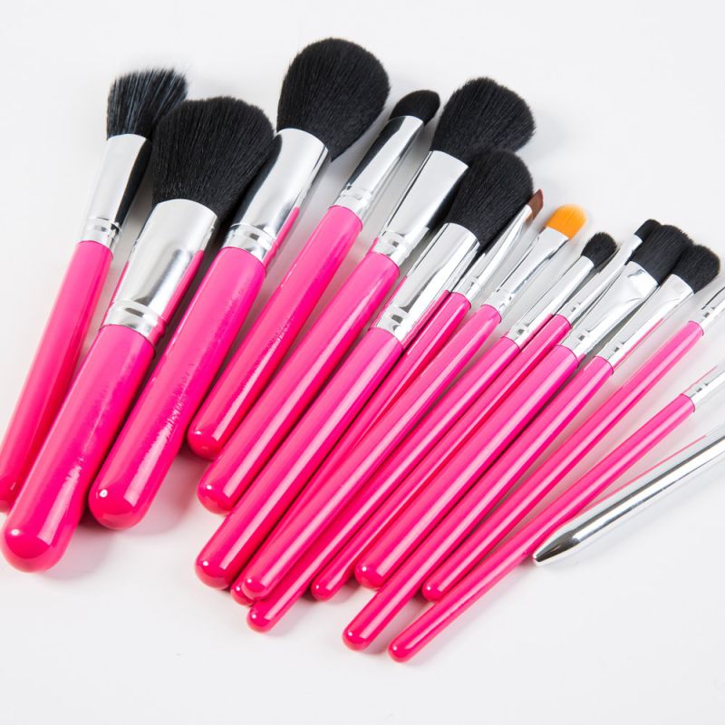 2016 New Professional Makeup Brush 15PCS with Pink PU Package