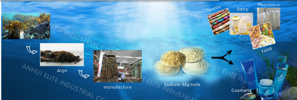 Food Grade /Pharmaceutical Grade Sodium Alginate