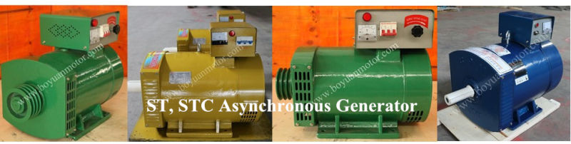 St Series Single Phase Synchronous AC Alternator (ST-3KW~ST-24KW)