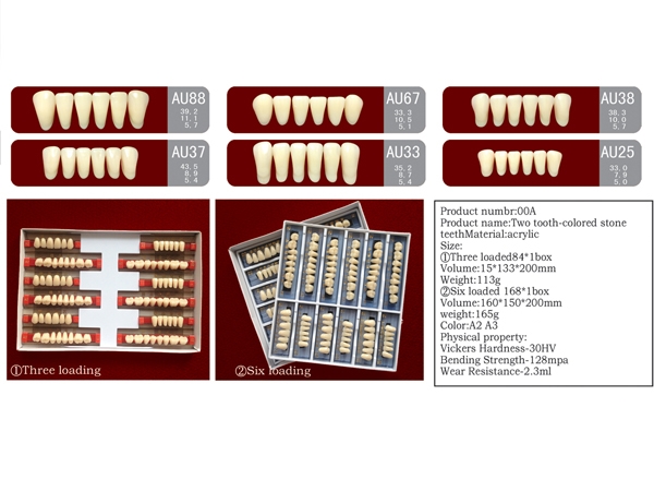 SA21 Two-Layer Acrylic Resin Teeth