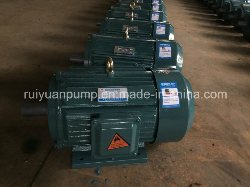 Ce Approved Three Phase Cast Iron Asynchronous Electric Motor for Industrial