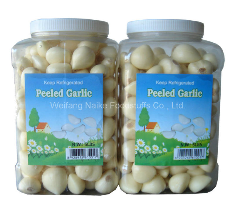 High Quality Fresh Garlic