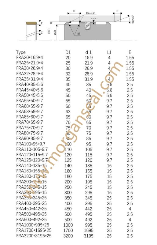 Fra/Gp Profile PTFE/Teflon Piston Guide Ring Seal/Wear Ring