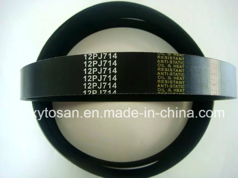 Pk Belt for All Models with Ebst Quality