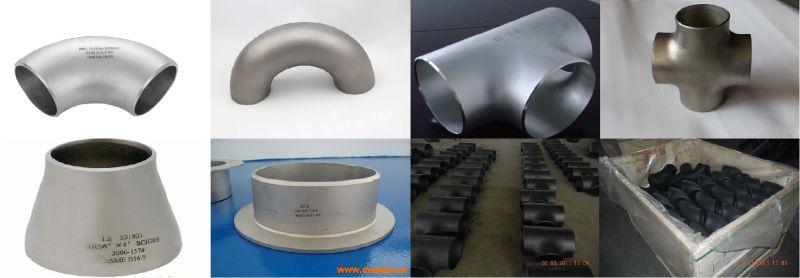 Carbon Steel & Stainless Steel Pipe Fitting