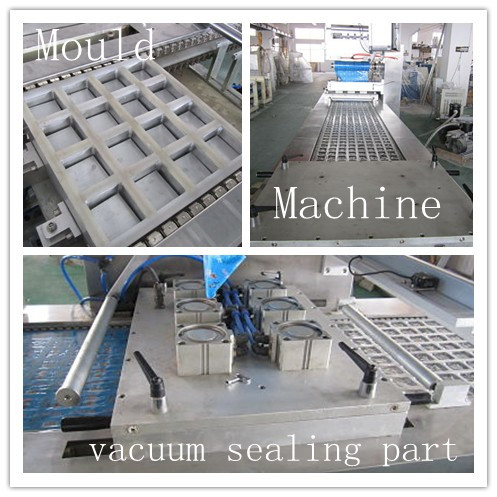 International Standard Vacuum Packing Machine