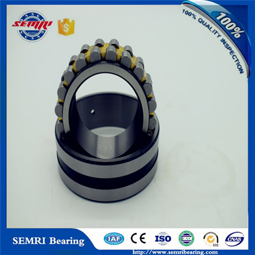 Double Row Bearing (NN49/600K) High Precision Bearing with Competitive Price