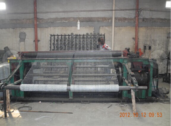 Hexagonal Wire Mesh for Chicken