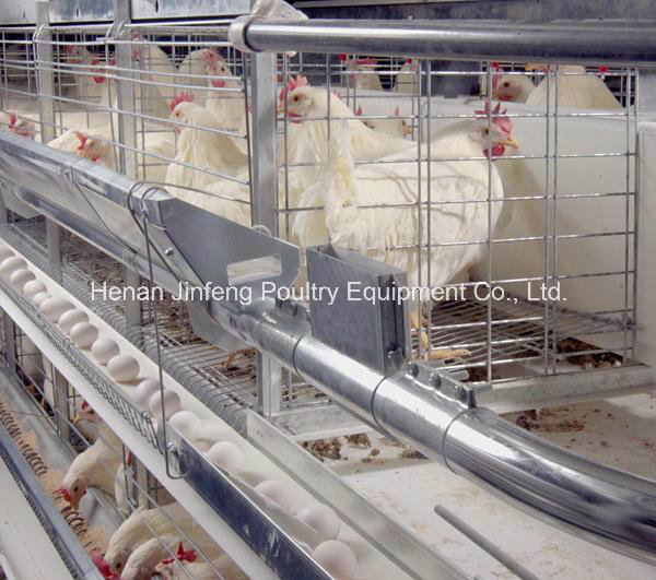 Chicken Cage Henhouse Poultry Equipment Chicken Cage Henhouse Poultry Equipment