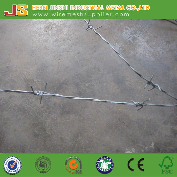 Double Twist Galvanized Barbed Wire Made in China