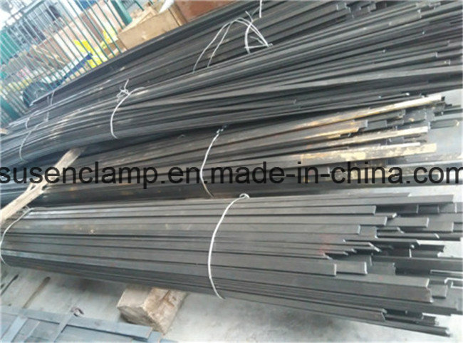 Heavy Rail Carbon Steel/Ss304/Ss316 Suitable for Clamps with Rail Nuts