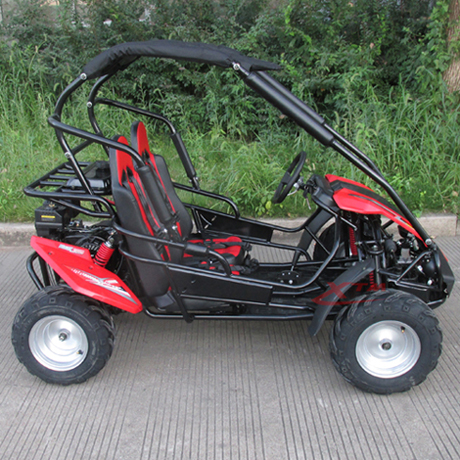 2 Seat Gas Mini Buggy for Kids