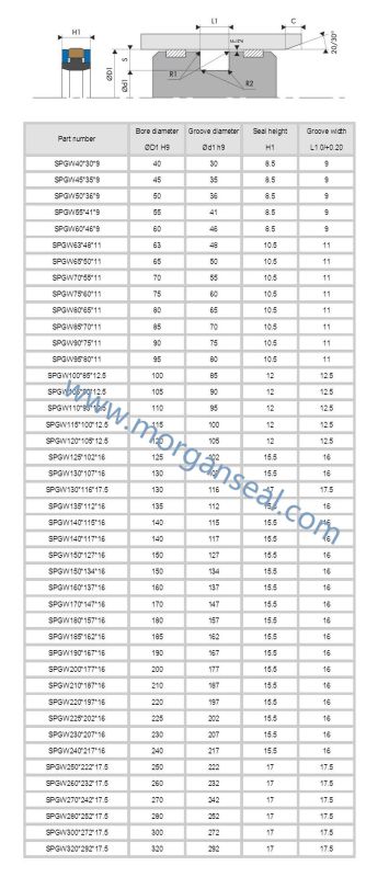 High Pressure Spgw/Phd Type Hydraulic Cylinder Piston Seal Ring