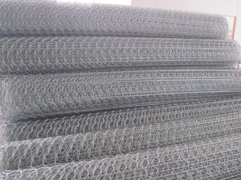 Galvanized or PVC Gabion Box Factory/Hexagonal Wire Netting/Stone Cage/Wire Mesh Fence