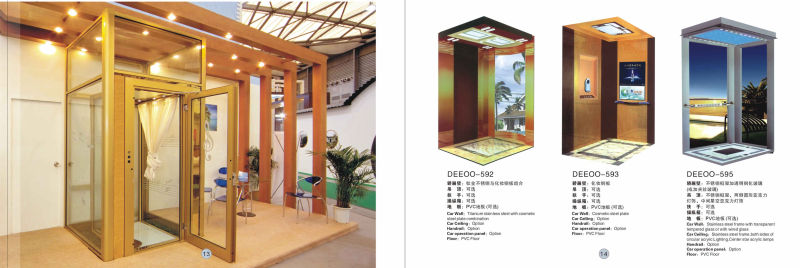 450kg Fashion Design Custom-Made Villa Lift