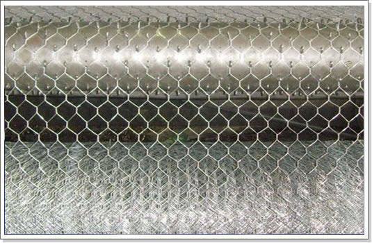 Galvanized Iron Wire Hexagonal Wire Mesh