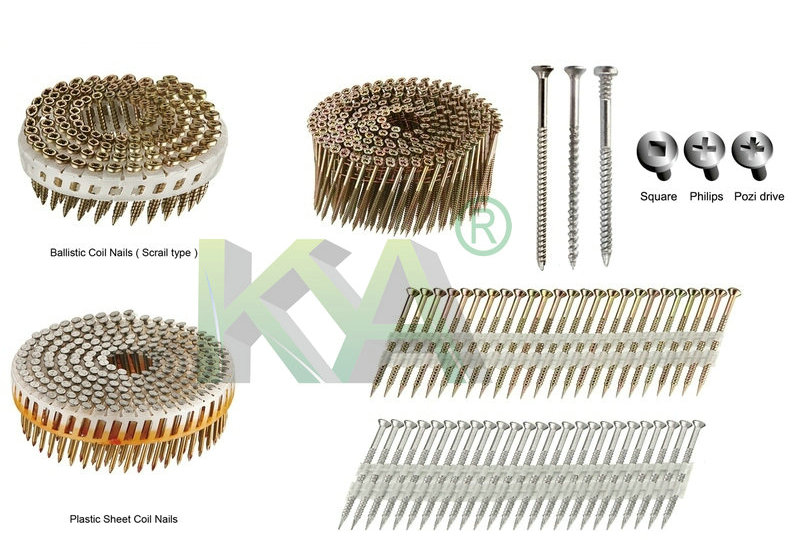 15 Deg Wire Nail Collated Screw