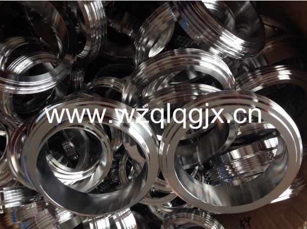 Stainless Steel Fitting Sanitary SMS DIN Union