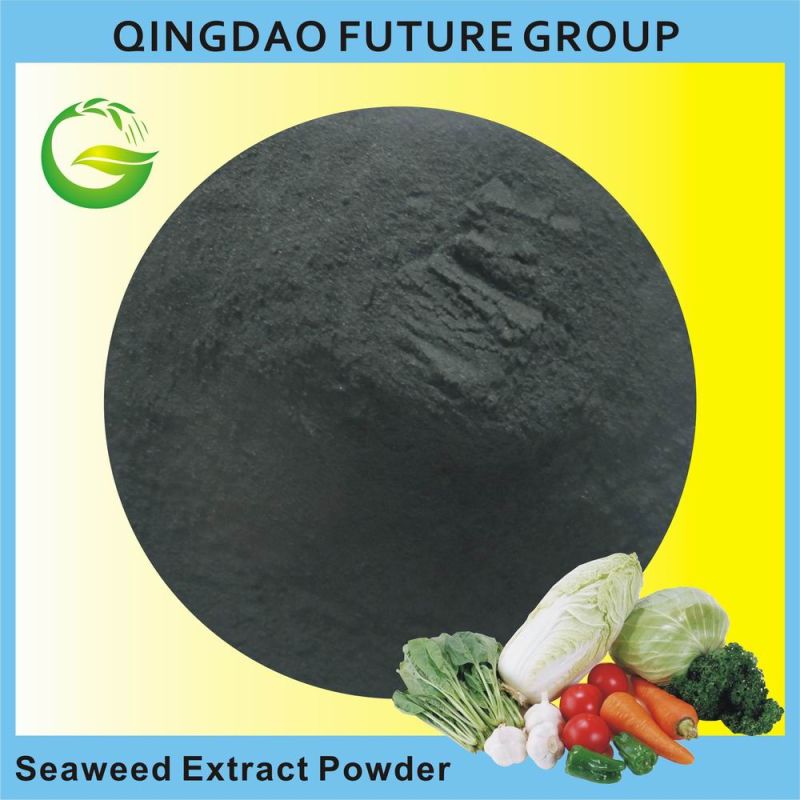 100% Water Soluble Seaweed Extract, Organic Fertilizer