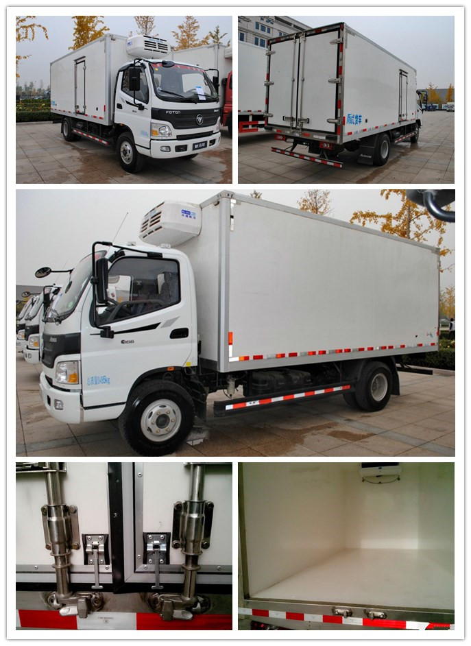 Heavy Duty Dongfeng 4*2 10cbm Refrigerated Truck