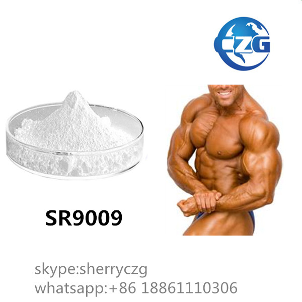 Bodybulidng Pharmaceutical Sarms Sr9009 Endurance Improving Sr9009