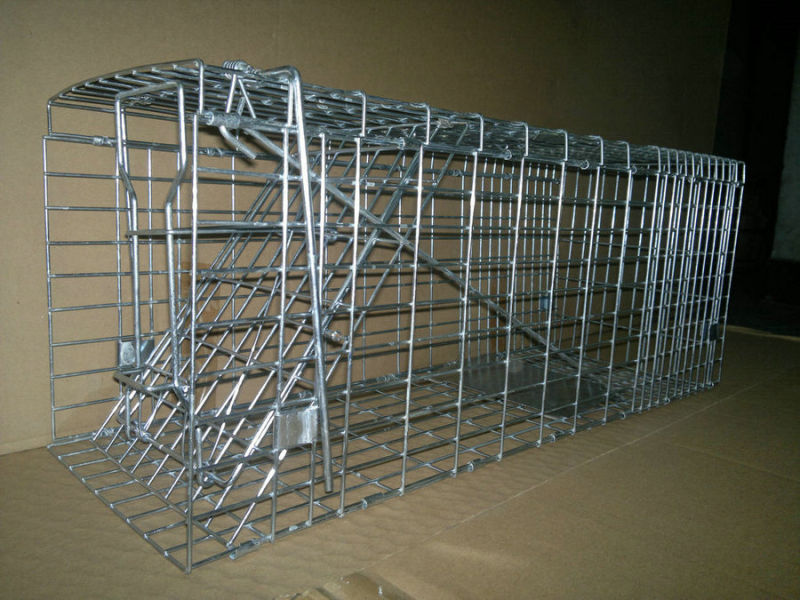 Animal Trap Cage