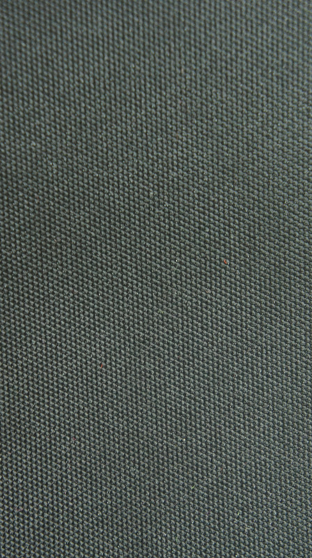 High Elastic Polyester Fabric with PVC Coating