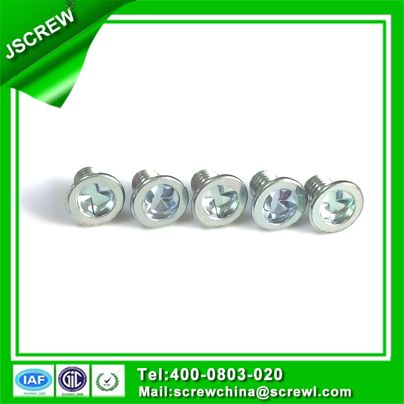 Non-Standard Head Steel Screw