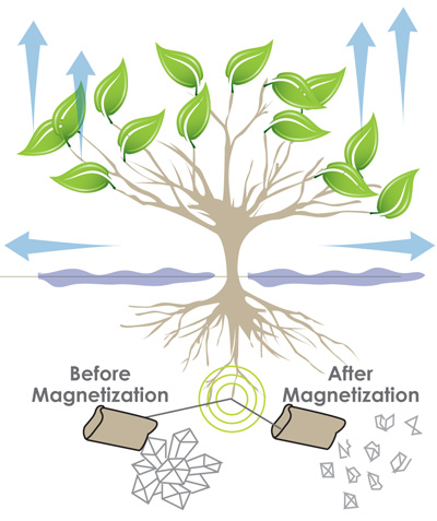 Farming Crops Irrigation Magnetic Water Descaling System