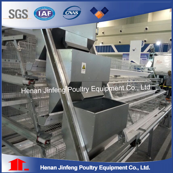 Automatic Poultry Farm Equipment Machine for Chicken House (9LDT-5-1L0-25)