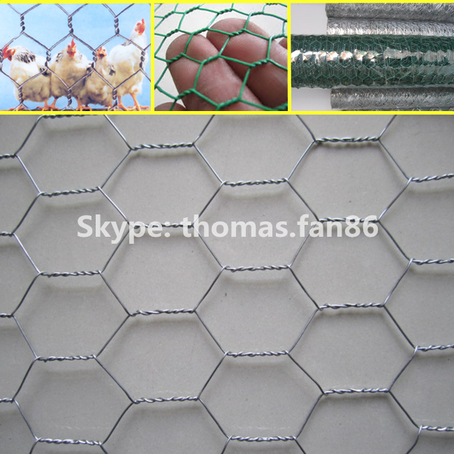 PVC Poultry Netting / Chicken Mesh / Hexagonal Wire Mesh