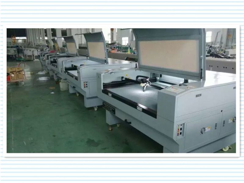 Prefessional Laser Cutting and Engraving Machine for Garment/Fabric/Cloth