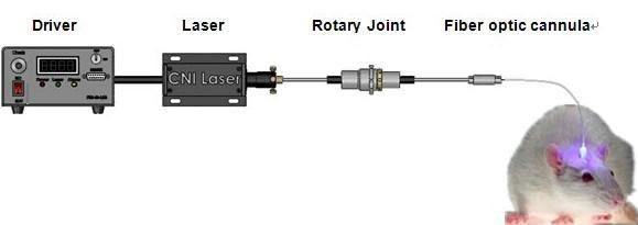 laser system for optogenetics