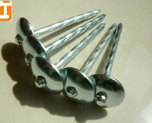 Manufacturer Galvanized Umbrella Roofing Nails