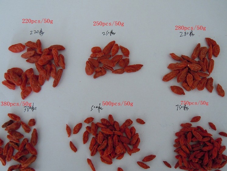 Ningxia Goji Berries, Organic Goji Berries