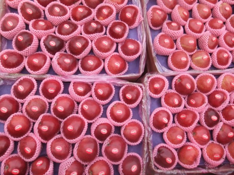 High Quality for Exporting Fresh Huaniu Apple