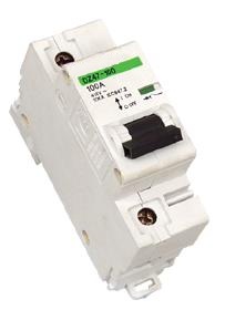 Dz47-100 (NC100H) Mini Circuit Breaker MCB