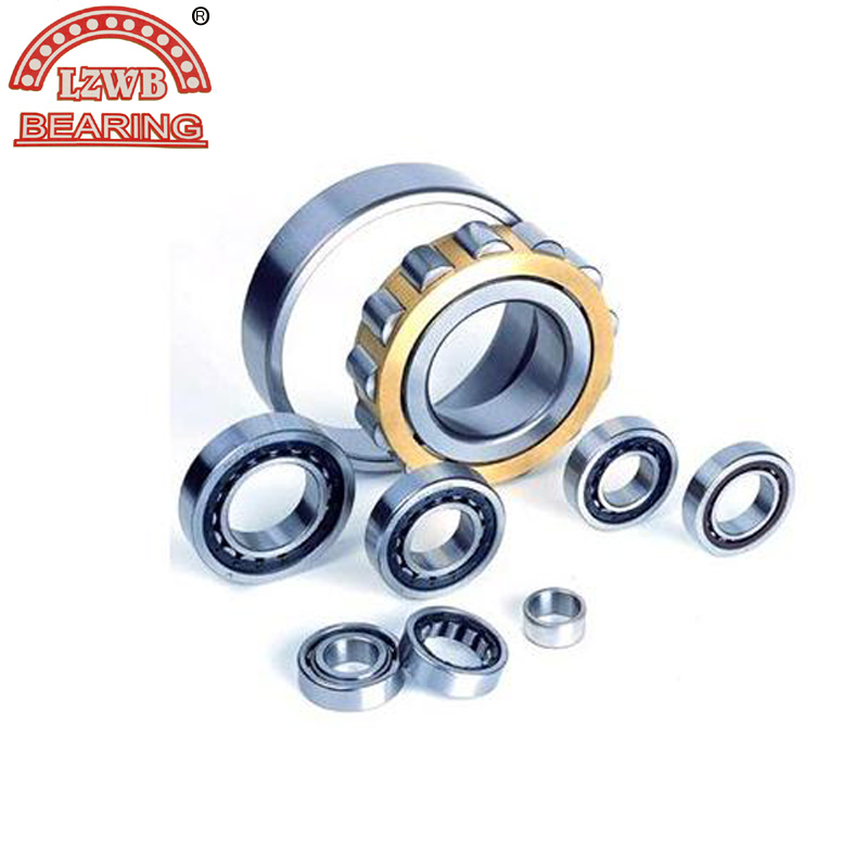 Machinery Parts of Cylindrical Roller Bearing (NJ234EM)